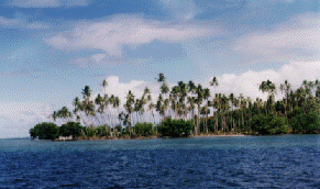 http://pvs.kcc.hawaii.edu/1995Taputapuatea.GIF
